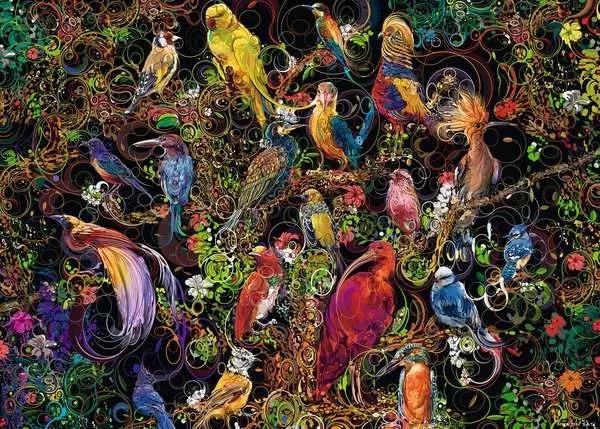 1000 Pc Puzzle | Birds of Art