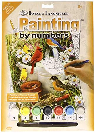 Paint by Number - Garden Birds